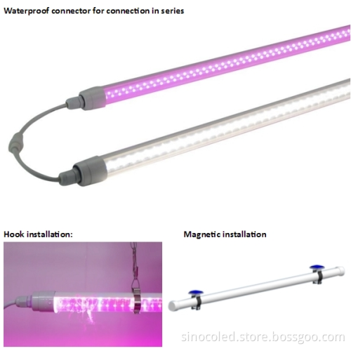 LED Grow Light Design for Hydroponic Container Germination